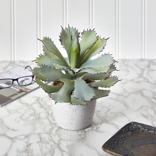 11" Potted Succulent Plant